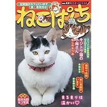 Amazon.co.jp: ねこぱんち まるまり秋ネコ号 (にゃんCOMI